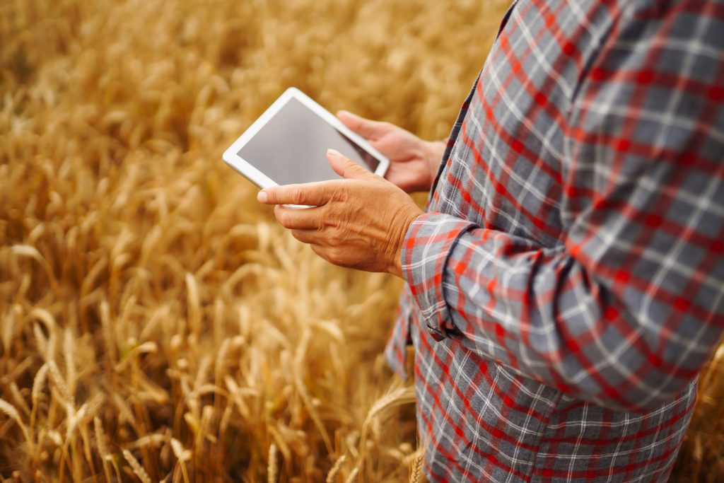 Agricultor tomando notas sobre el rendimiento de su cultivo en una tablet